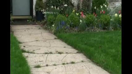 April Flowers Chirping Birds 