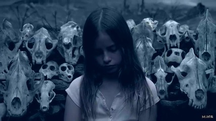 Within Temptation - I Don't Wanna