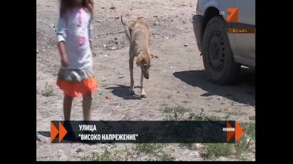 Улица " Високо Напрежение" в циганска махала в Нoва Загора