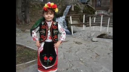 Отпред на каручката