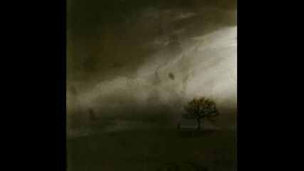 Hedged - Youre So Cold