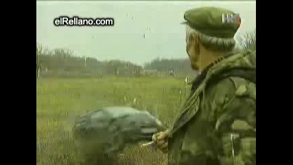 Bez Dumi