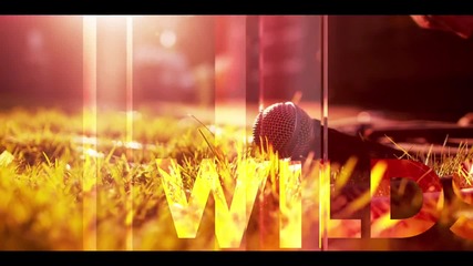 [hd] Wildstylez Feat. Niels Geusebroek - Year Of Summer (official Videoclip)