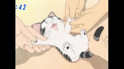 chi's sweet home 045 (bg)