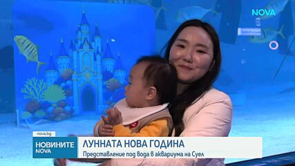 Водолази в традиционни носии с представление в аквариума в Сеул