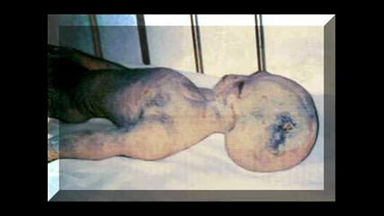 Real Amazing Alien Photos - извънземни