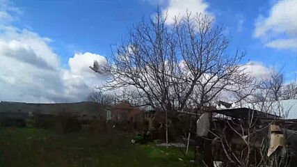 Vid_20210228_120055.mp4