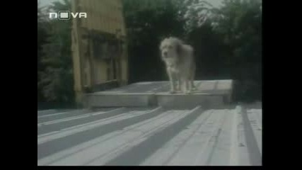 Бенджи, Закс и Звездният принц - Епизод 3 