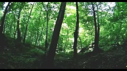 we own the hills - downhill freeride Mtb movie 