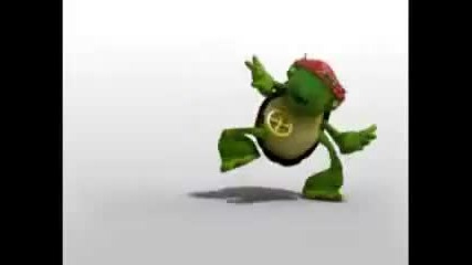 Crazy Turtle 3