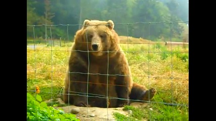 Мецана маха с ръка!