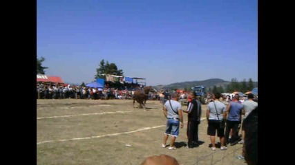 Тодоровден - Нова махала 2012