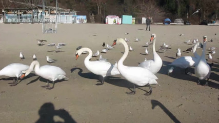 Varna - Black Sea Coast today 021