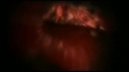 Papa Roach - Between Angels and Insects