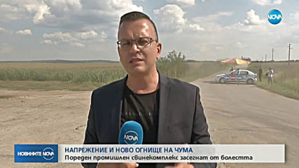 НАПРЕЖЕНИЕ В РУСЕНСКО: Къде ще бъдат заровени умъртвените свине?
