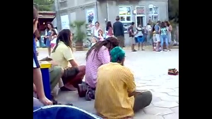 Бандата на Марли - обзор 2008
