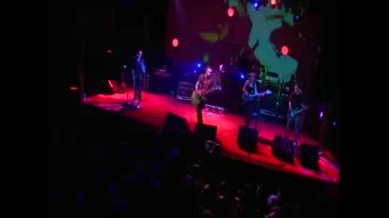 Blue October Chameleon Boy