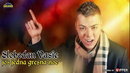 Slobodan Vasic - Jos jedna gresna noc (2013)