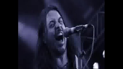 Whitesnake 2008 