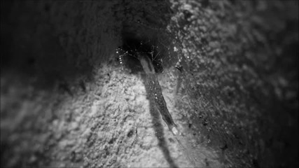 Forever Sound - Glowworm (original Mix)