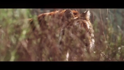 Kat Graham - i Want It All (official Music Video)