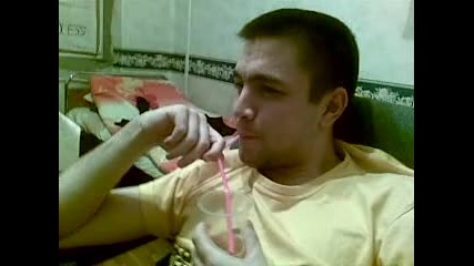 Тюлен, който пие бира