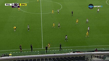 Sheffield United FC with an unlucky Own Goal, vs. Fulham