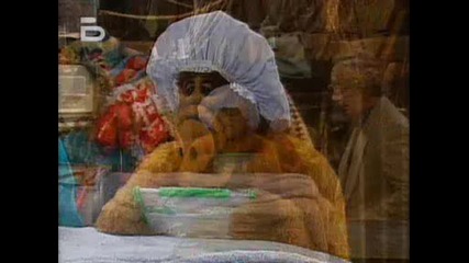 Pgm - Alf.s3e21 - Sample.avi