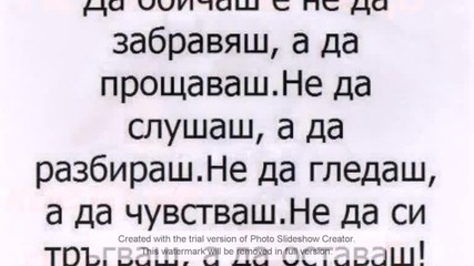 Vanq и Миро
