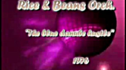 Rice and beans orchestra - The blue danube hustle 1976 part 1