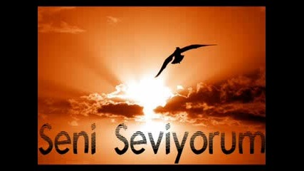 Sevdim Seni Bir Kere 