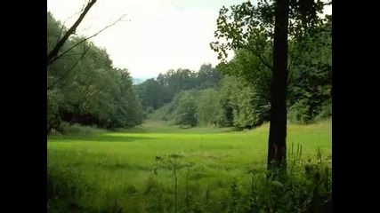Vangelis - Липсващ
