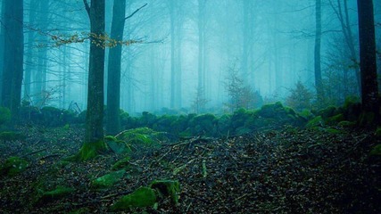 North Black - Aura of our Sins
