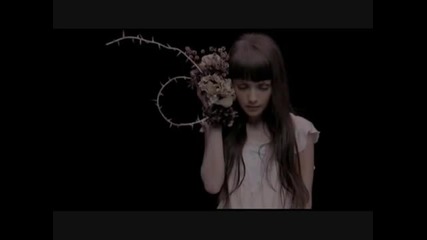 winter sleep - olivia