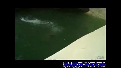 Тоя се закопа направо !! 