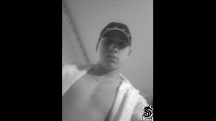 nekfi 