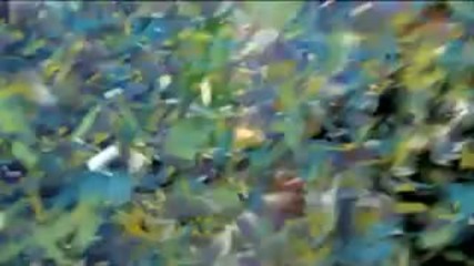 Победителят спечелил 1 милион долара от играта Това е цената