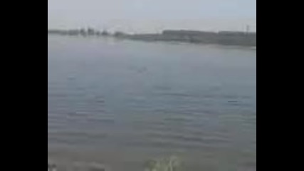 Видинският Дунав