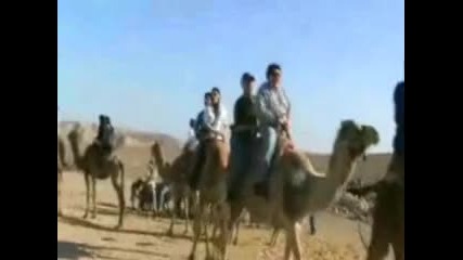 Дебелак смаза камилата ! 