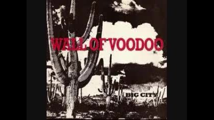 Wall of Voodoo - Mexican Radio Avi