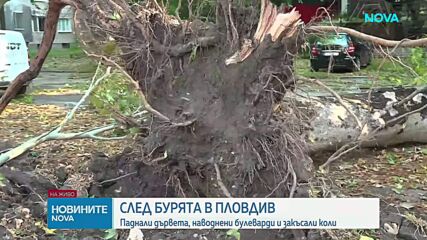След бурята в Пловдив: Служби и граждани обединиха сили в разчистването на града