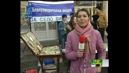 Колорит