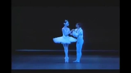 Swan lake Paris Opera 11