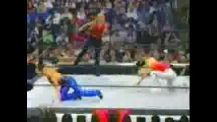 Wwe Divas Tribute