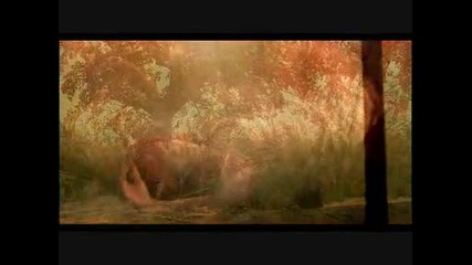 Rihanna - California King Bed
