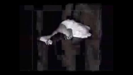 Hakan Altun - Aglamak Yok Yuregim.avi Vbox7