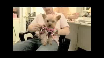 Ashley Tisdale - Meet Manly