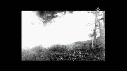 - - Neylini - Muleina (високо качество)
