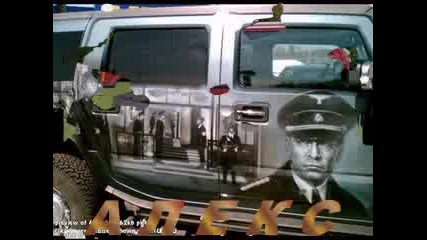 Aleks 199