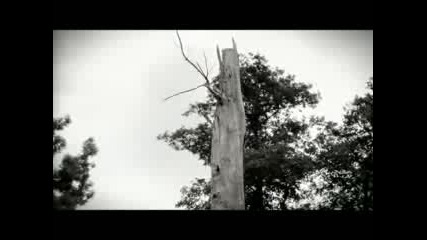 Clueso - Niemand an dich denkt